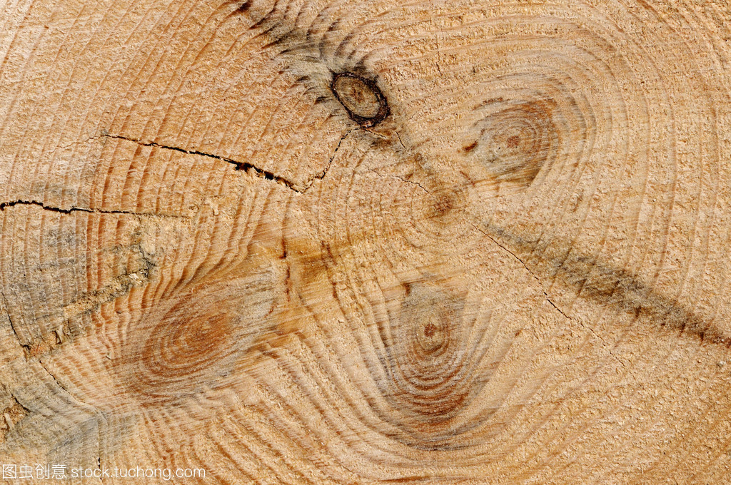 年轮密码 木材纹理背后的自然印记与人文温度