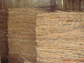 匠心筑梦，木韵流芳——走进骏起木业加工厂