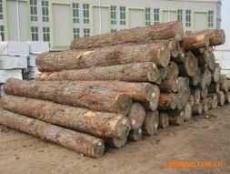泰和县方圆木业原木产品列表 精选优质木材，打造自然之美