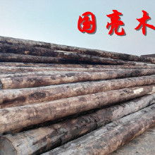 落叶松木木材的市场分析与应用前景